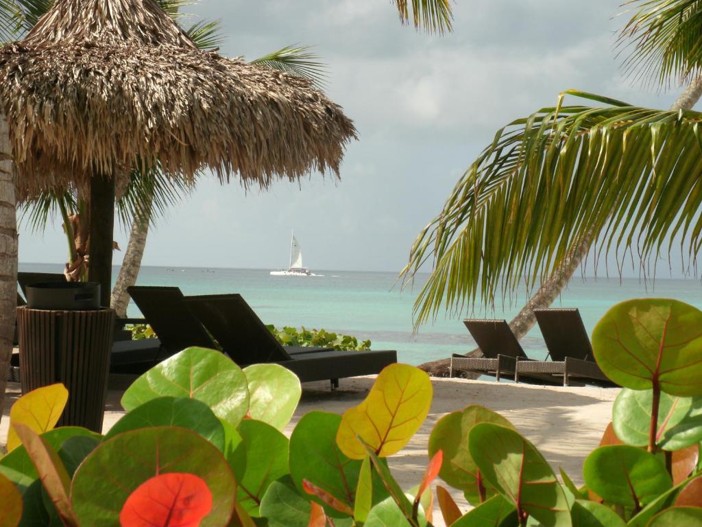 Hotel Miranda Bayahibe Exterior foto